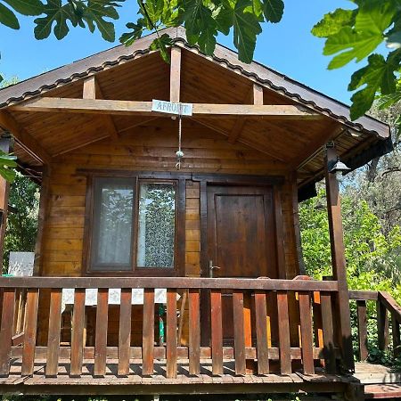 אפרטהוטל Balikliova Olimpos Bungalov Apart מראה חיצוני תמונה