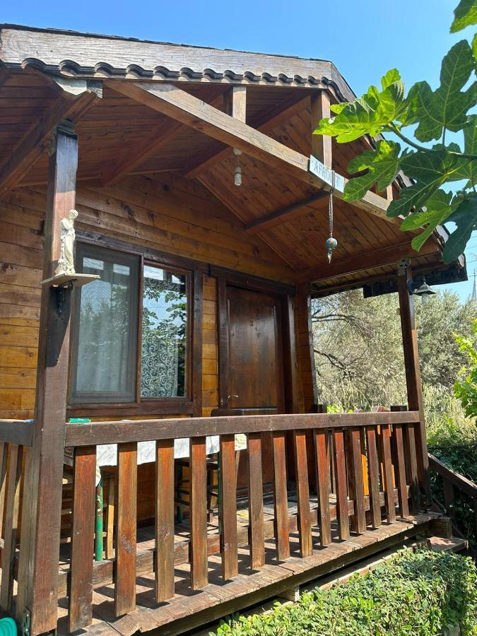 אפרטהוטל Balikliova Olimpos Bungalov Apart מראה חיצוני תמונה